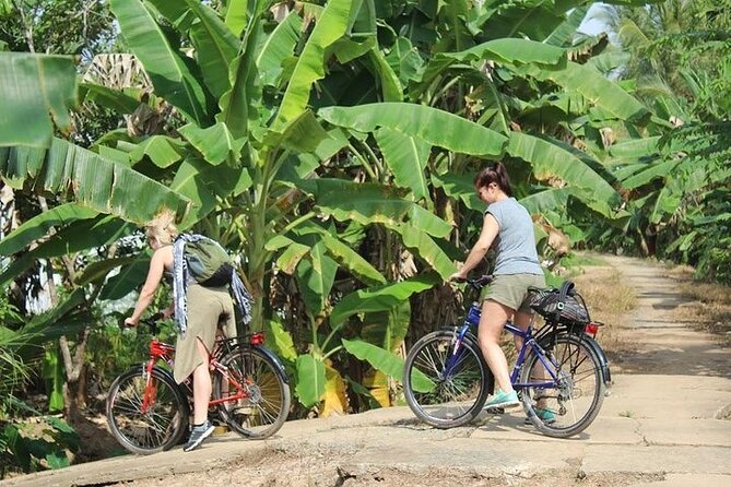 Private Mekong Delta With Biking ( Non- Touristy ) - Tour Highlights