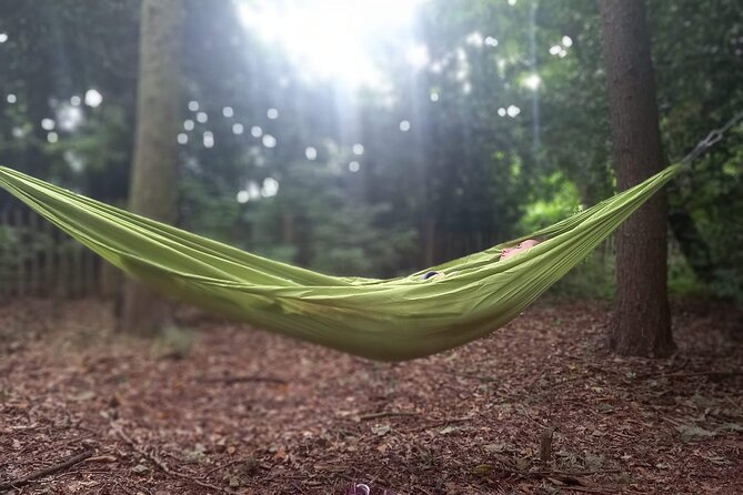 Private Mindfulness and Nature Walk in Edinburgh - Tour Details