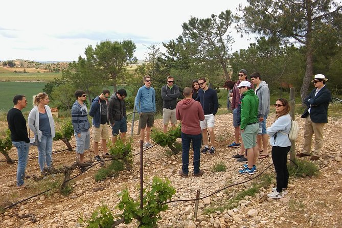 Private Morning Wine and Winery Tour and Tasting From Valencia