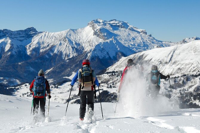 Private Mountain Snowshoe Hike From Chamonix - Good To Know