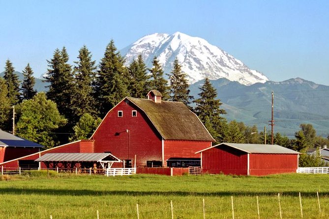 Private Mt Rainier National Park Day Trip From Seattle