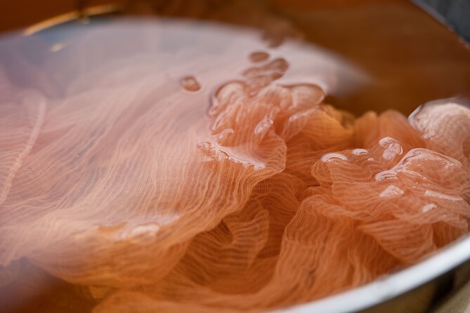 Private Multi Day Tour in Tokushima Miyoshi - Good To Know