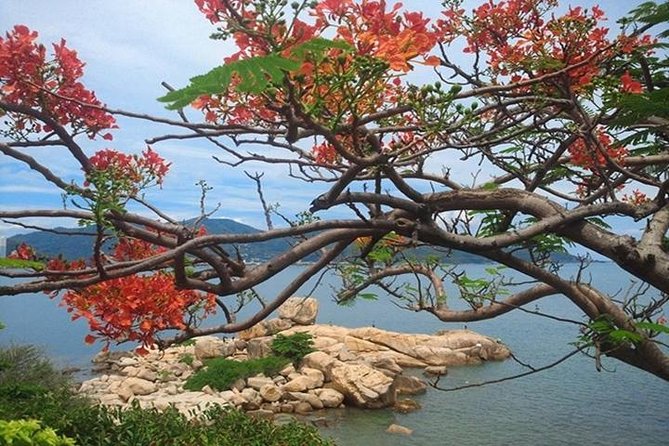 Private Nha Trang City Excursion (Haft Day Program)