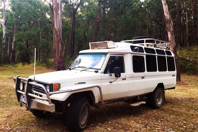 Private Nocturnal Wildlife Tour From Melbourne