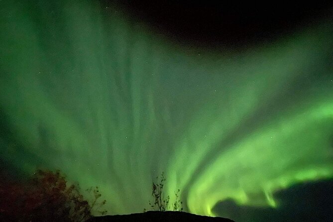 Private Northern Lights Tour - Good To Know
