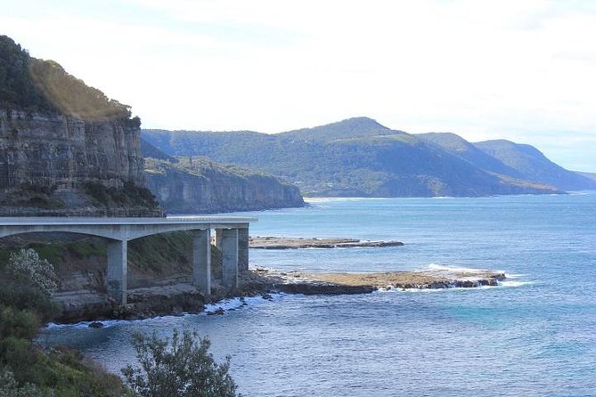 Private NSW South Coast Day Trip From Sydney