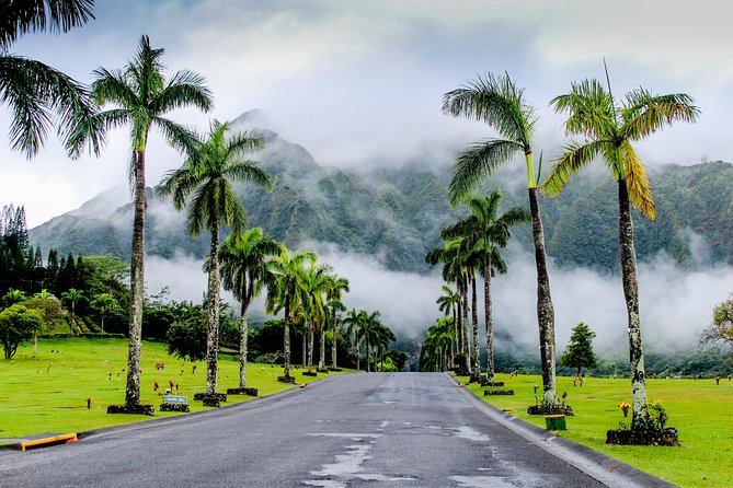 Private Oahu Circle Island Tour - Spacious and Comfortable Transportation