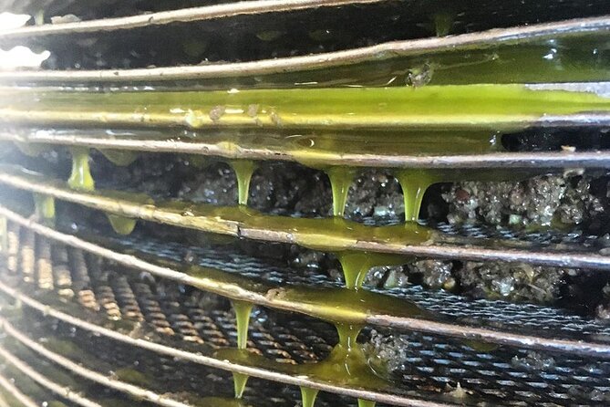 Private Olive Oil Tasting Tour @ Family Owned Organic Olive Mill - Pricing and Value