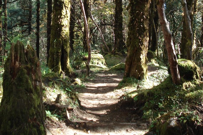 Private One-Day Hike From Kathmandu: Shivapuri National Park - Good To Know