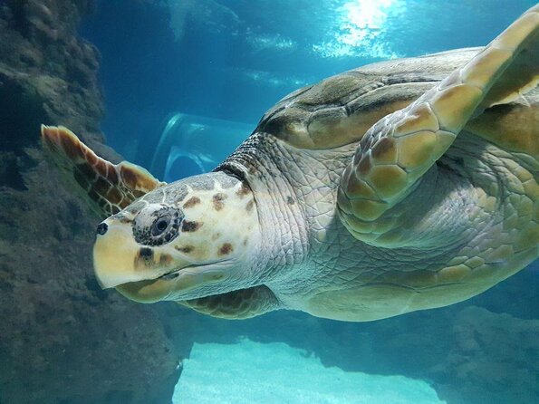 Private Photo Session With a Local Photographer in Lanzarote - Good To Know
