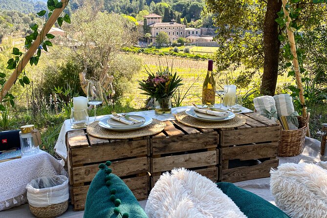 Private Picnic Experience With Winery Tour & Tasting in Mallorca