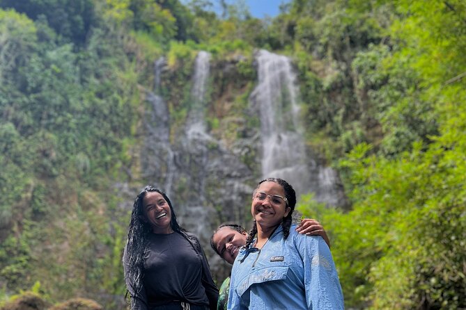 Private Rainforest Hike to Hidden Waterfall Tour With Transport - Good To Know