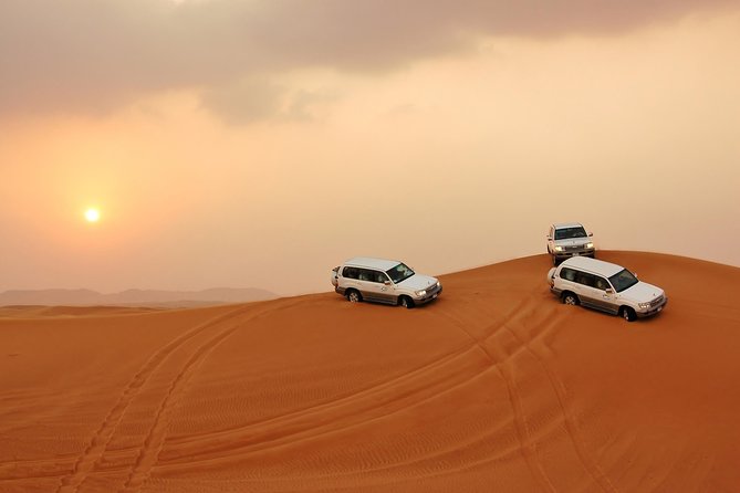 PRIVATE Red Dune Desert Safari, BBQ Dinner, Camel Ride & Falcon Photo - Good To Know