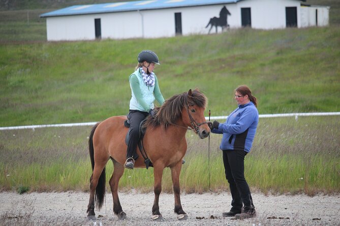 Private Riding Lesson in the North of Iceland