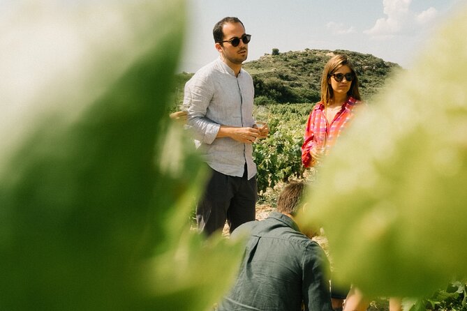 Private Rioja Wine Tour of Vines and Wines in Spain