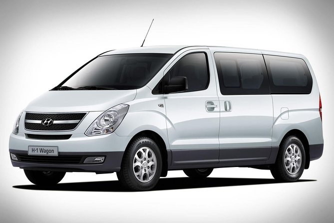 Private Round Trip Airport Transfer Bavaro Hotels - Good To Know