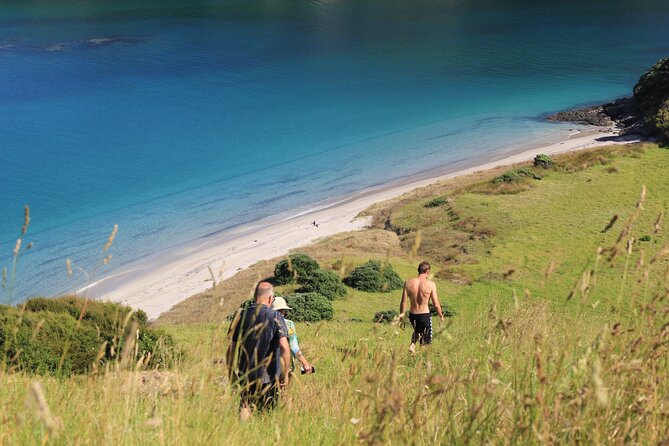 Private Sailing Charter Bay of Islands 11-15 People - Good To Know