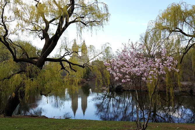 Private Scenic Central Park Walking Tour - Pricing and Booking Details