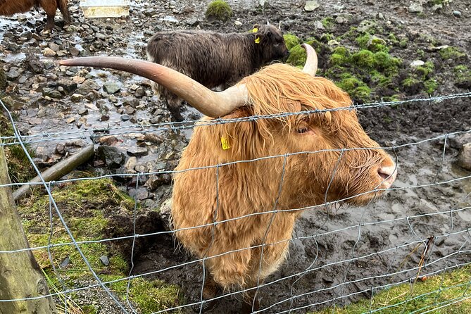 Private Scottish Highlands and Loch Ness Tour From Edinburgh - Tour Operators Expertise and Flexibility