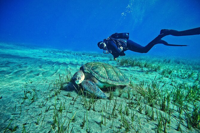 Private Scubadiving With Professional Instructor, Photos Included - Good To Know