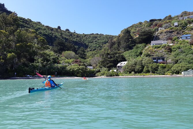 5 Best Canoe And Kayak Experiences In Christchurch