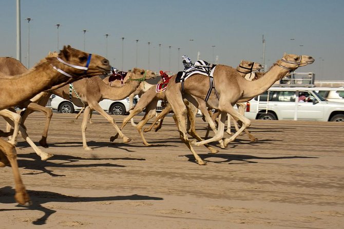 Private Shahania Bedouin Tour