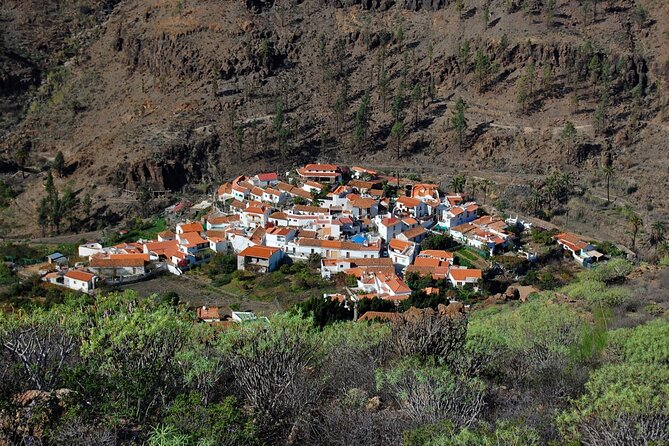 Private Shore Excursion in Gran Canaria the Miniature Continent - Highlights of Gran Canaria