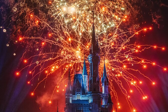 Private Shuttle Disney