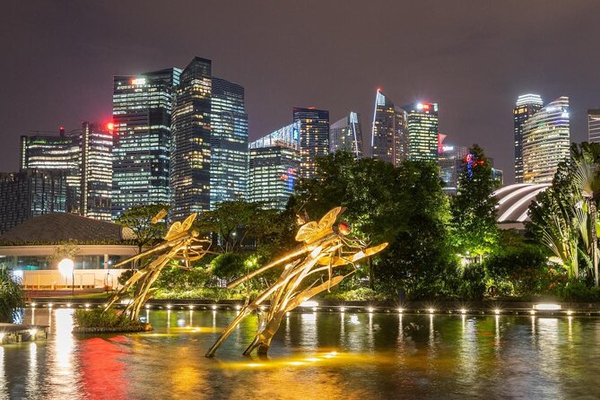 Private Singapore Photography Tour With a Professional Photographer - Good To Know