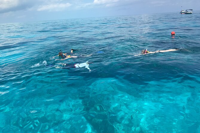 Private Snorkel Charter to the Key Largo Reef for Group up to 10