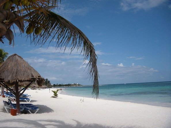 Private Snorkeling With Sea Turtles in Akumal Beach - Good To Know
