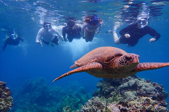Private South Maui Turtle Town Snorkeling and Kayaking Tour - Good To Know