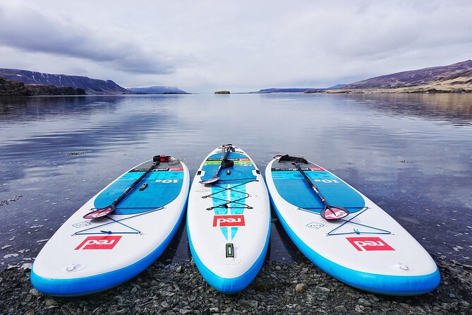 4 Best Canoe And Kayak Experiences In Reykjavik