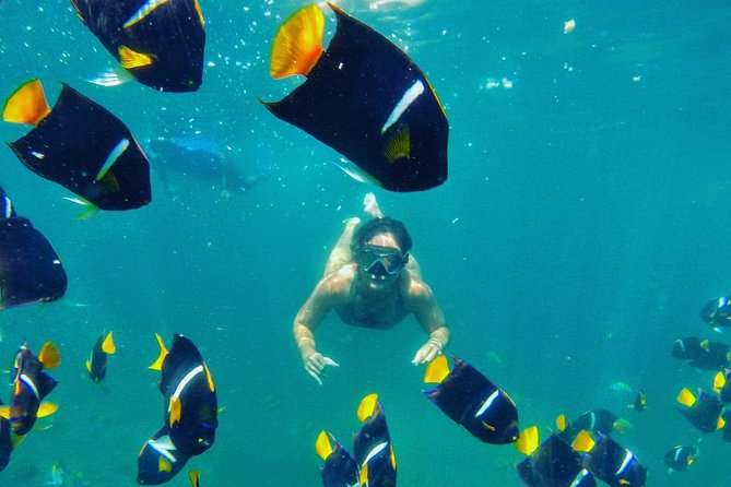 Private Stand Up Paddle Experience in Los Arcos Jalisco