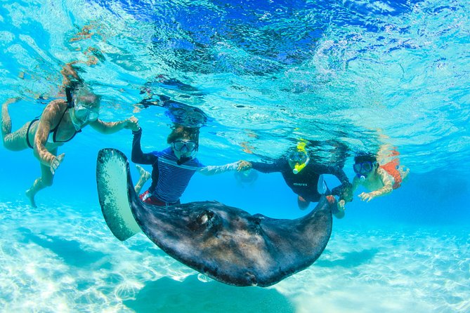 Private Stingray City and Snorkeling Half Day Charter for 6 Guest