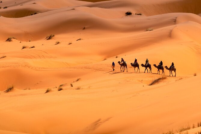 Private Sunrise Safari Tour in Abu Dhabi With Camel Ride - Good To Know