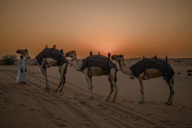 Private Sunset Desert Safari:Sandsurfing, Camel Ride & BBQ Dinner - Good To Know