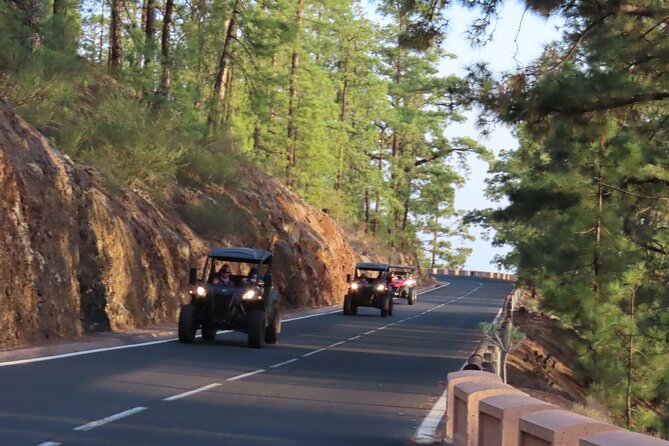 Private Sunset Tour in Tenerife - Good To Know