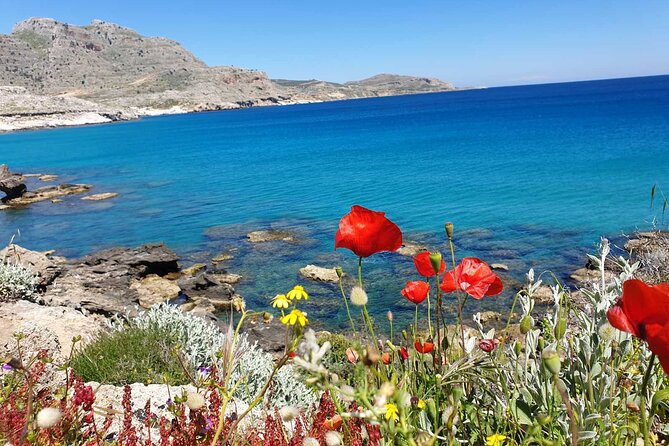 Private Swimming Snorkeling Experience at the Most Beautiful Bays of Rhodes