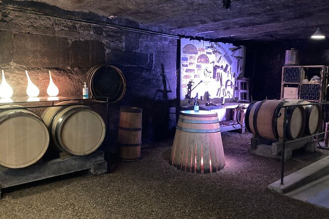 Private Tasting Day Tour From Paris to Beaune - Tour Highlights