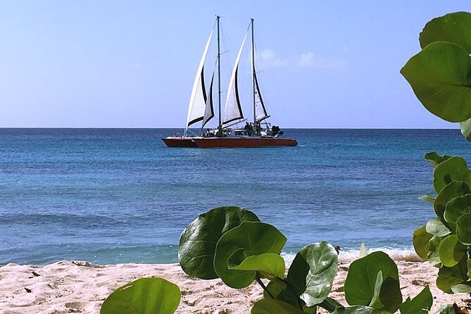 4 Best Snorkeling Experiences In Barbados