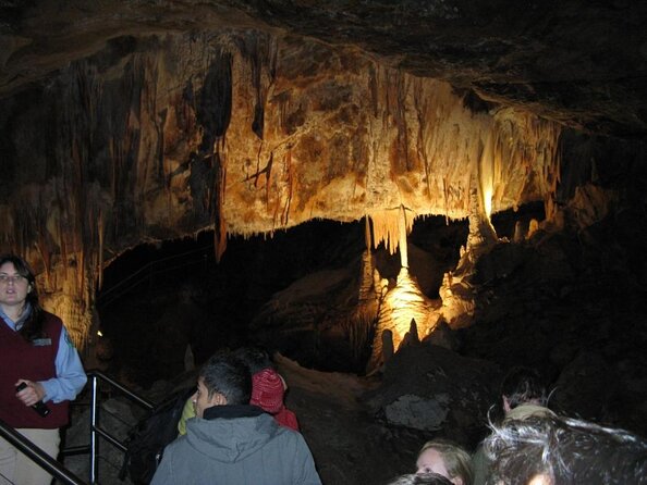 Private Tour: Blue Mountains and Jenolan Caves Day Trip From Sydney - Good To Know