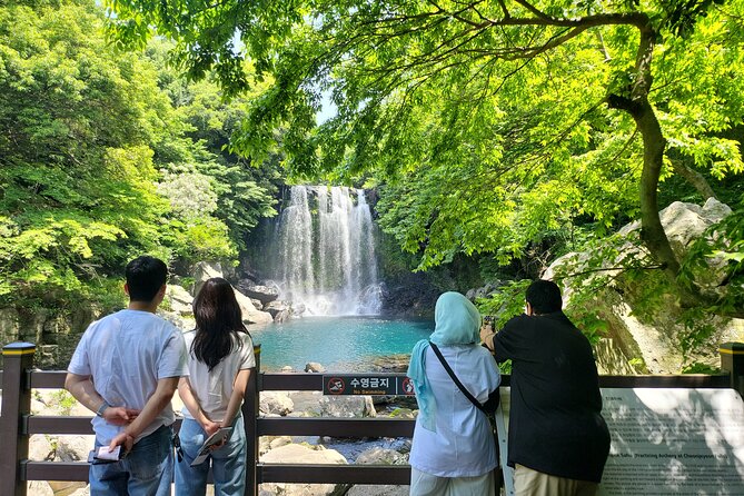 Private Tour Cheonjeyeon Falls & Osulloc Museum in Jeju Island
