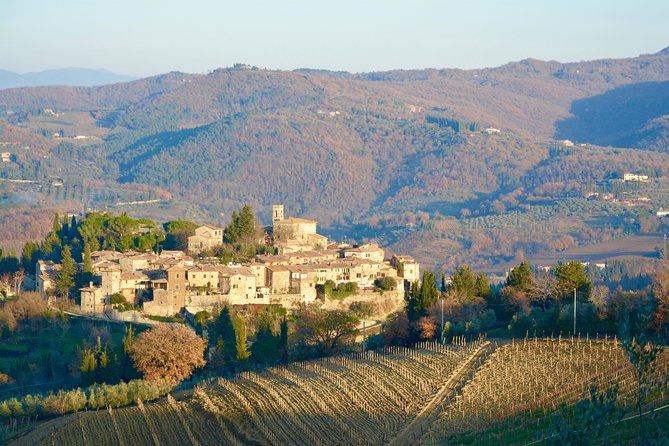Private Tour: Chianti Region Tour by Minivan - Good To Know