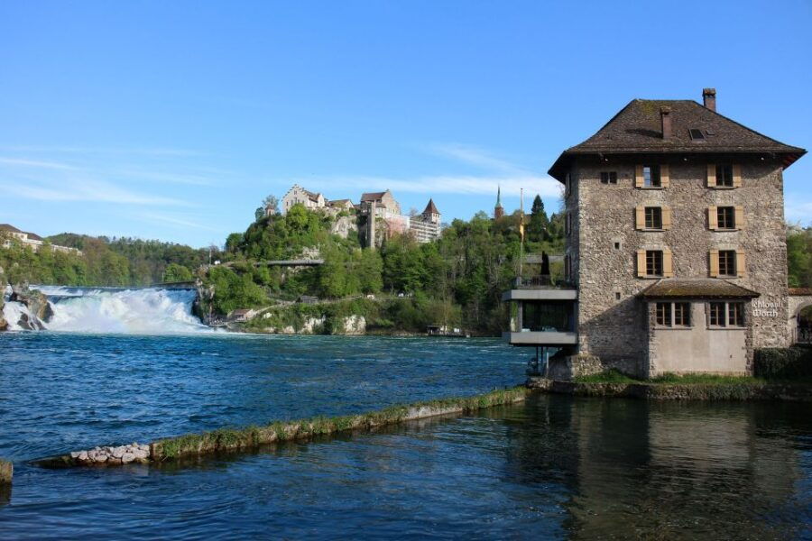 Private Tour From Zurich to Rhine Falls and Black Forest - Good To Know