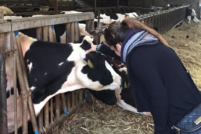 Private Tour Full Day - Cheese, Clogs & Windmills