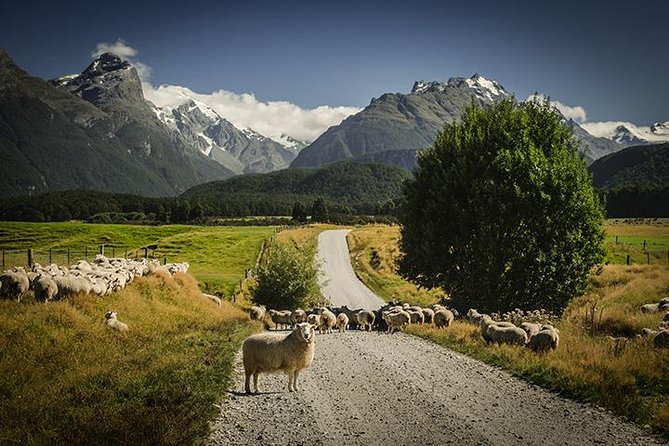 Private Tour Full Day Queenstown and Southern Lakes Photography Tour