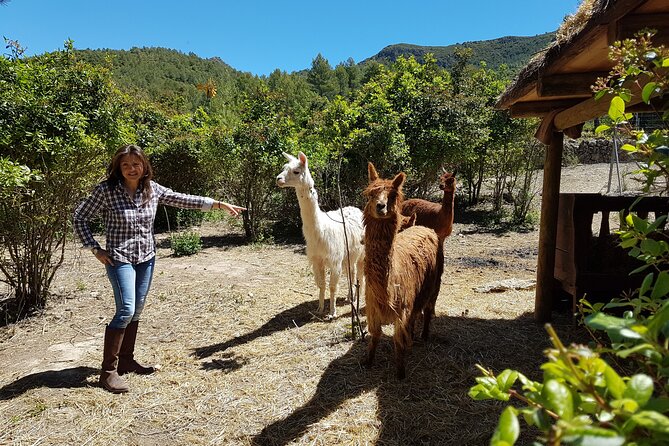 Private Tour - Hike and Wine Tasting at the Penedés - Good To Know