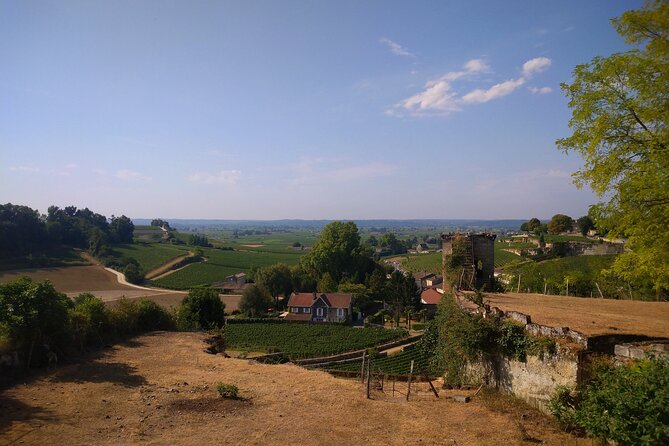 Private Tour in Saint-Emilion, Médiéval Village and Wine Tasting