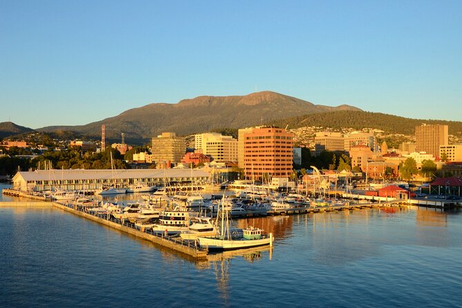 Private Tour of Tahune Airwalk and Hastings Caves From Hobart - Tour Highlights